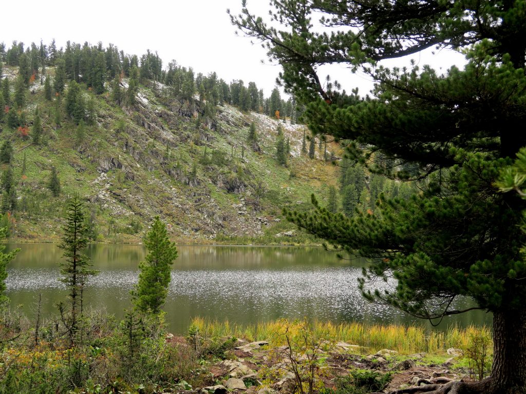 Каракольские озёра Горного Алтая - 5-е озеро
