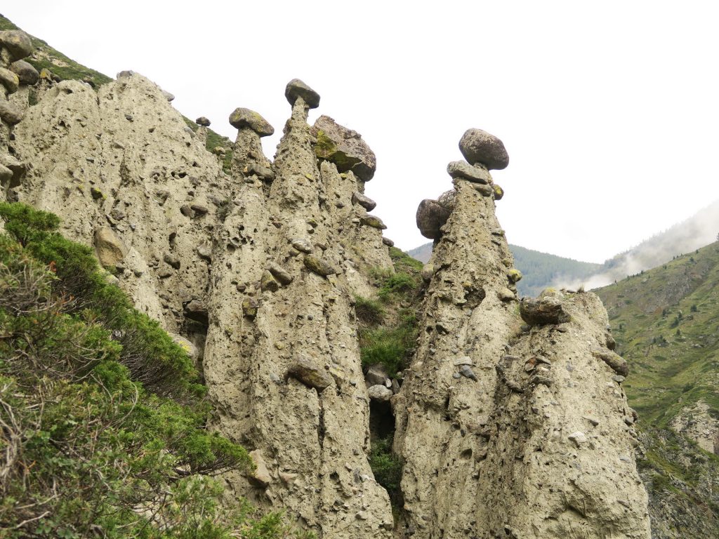 Каменные грибы Горного Алтая - грибы