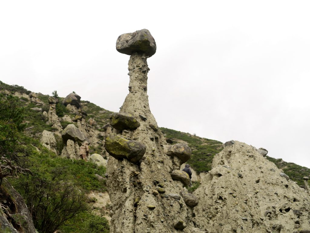 Каменные грибы Горного Алтая - шляпка