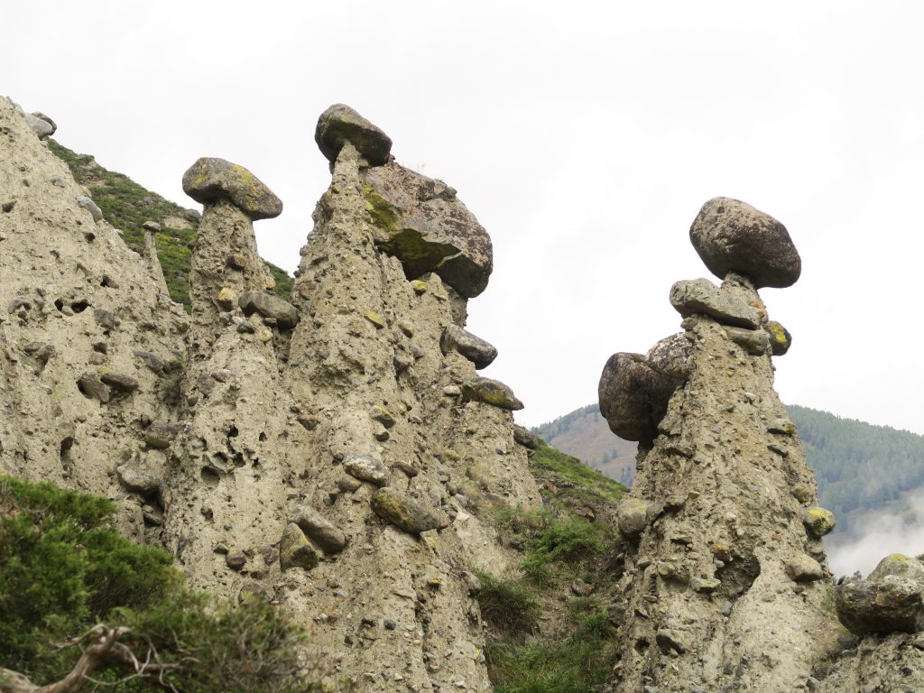 Каменные грибы Горного Алтая