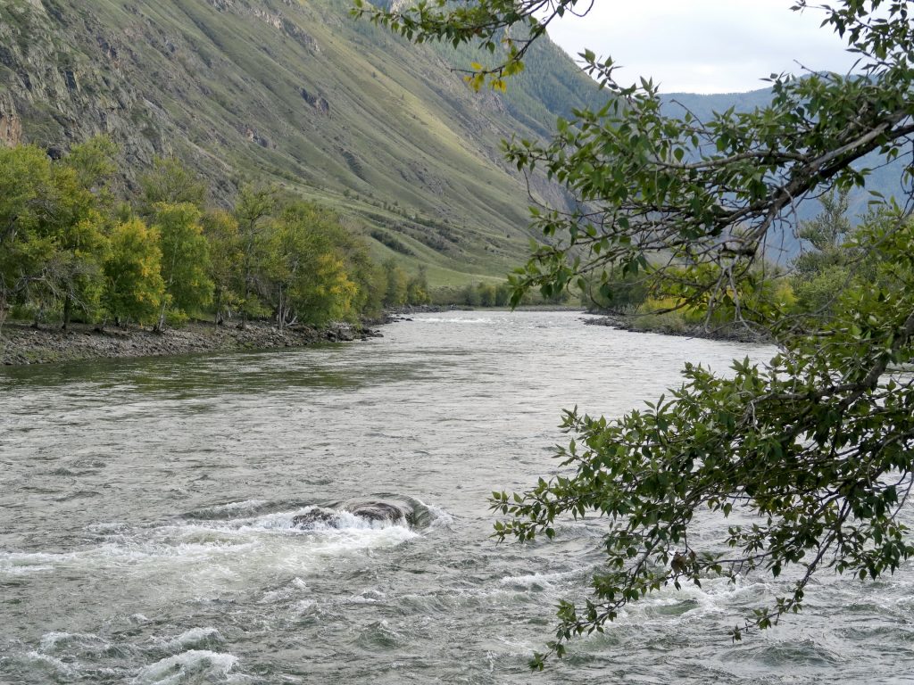 река Чулышман выше Чульчи
