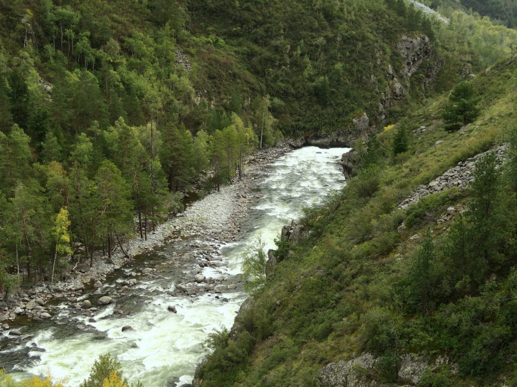 Путешествие по Алтаю самостоятельно -Река Чульча 