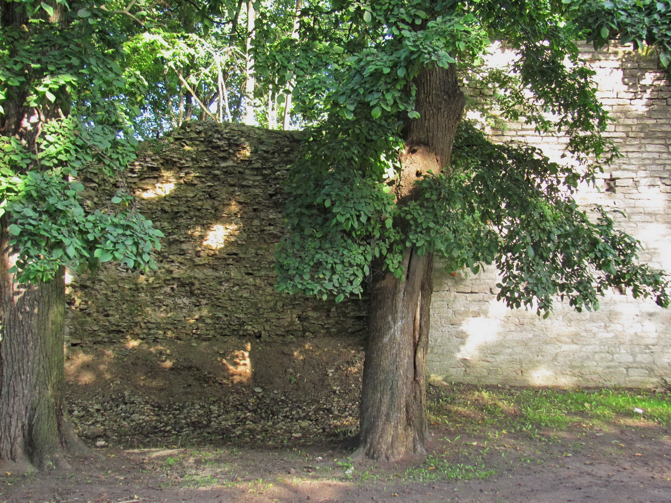 Псковская крепость - стена Окольного города на улице Свердлова